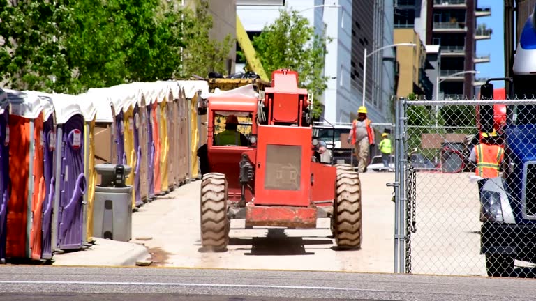 Best Root Management and Removal  in Sterling, CO